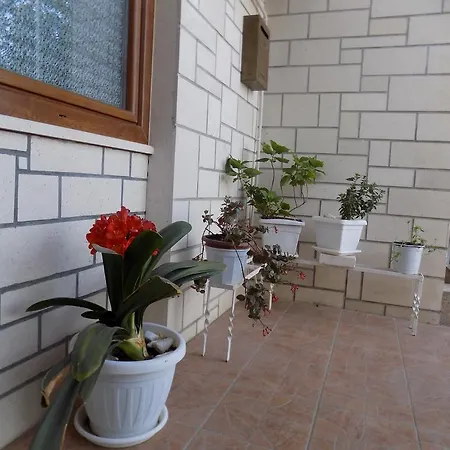 Apartamento Milovac *