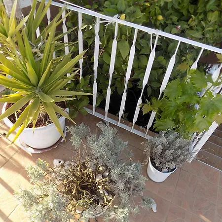 Apartmán Milovac Trogir